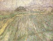 Vincent Van Gogh Wheat Field in Rain (nn04) china oil painting artist